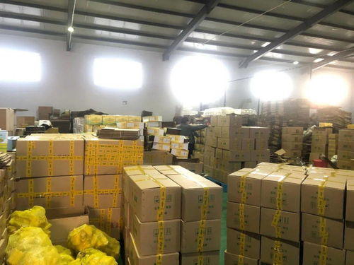 電商賦能，筑夢(mèng)五原——前11月交易額突破6億元，縣域經(jīng)濟(jì)借“網(wǎng)”騰飛